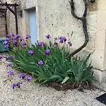 La Cour Villefagnan
